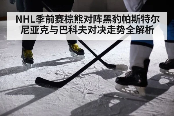 ice hockey players checking