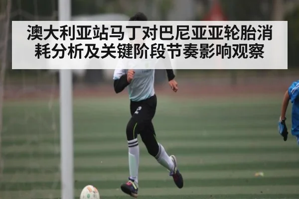 澳大利亚站马丁对巴尼亚亚轮胎消耗分析及关键阶段节奏影响观察 - kaiyun.com